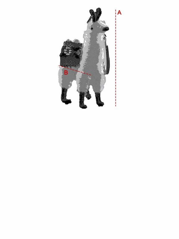 Guide des tailles