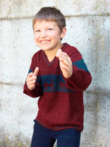 Pullover en alpaga Attila