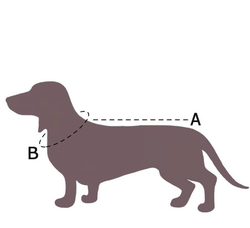 Guide des tailles