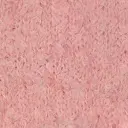 rose bébé