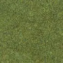 vert cod.1