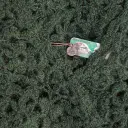 vert cod.1