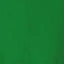 vert vif cod.2